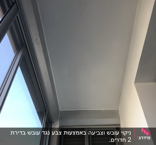 תקרה צבועה בלבן עם קיר צבוע חלקית